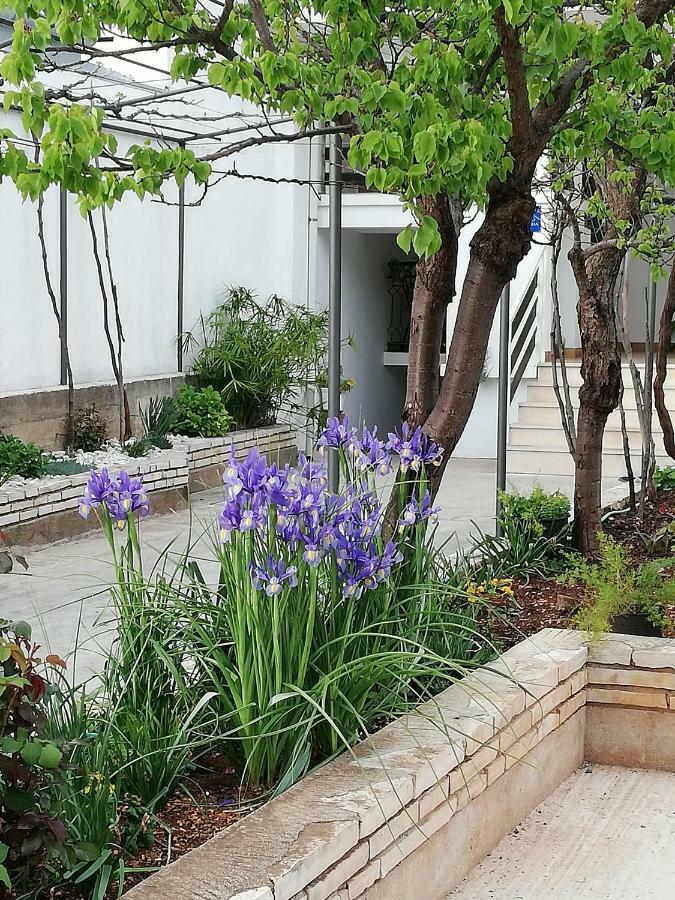 Apartman 1 Zara Esterno foto